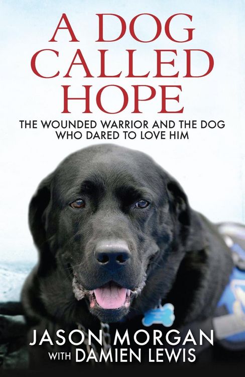 Produktbild: A Dog Called Hope