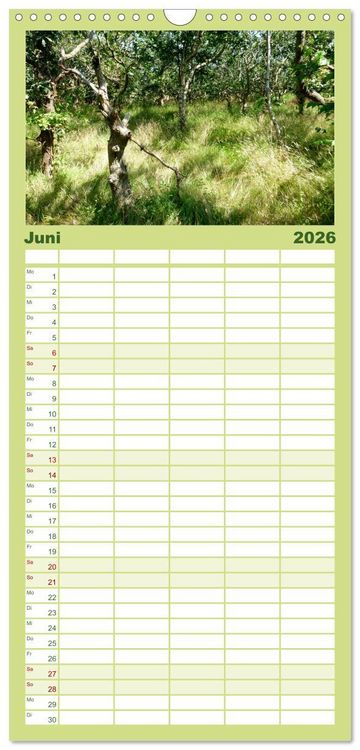 Produktbild: Familienplaner 2026 - T&ouml;werland Juist mit 5 Spalten (Wandkalender, 21 x 45 cm) CALVENDO