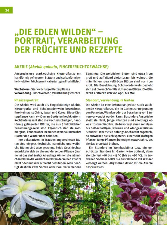 Produktbild: Besondere Obstarten