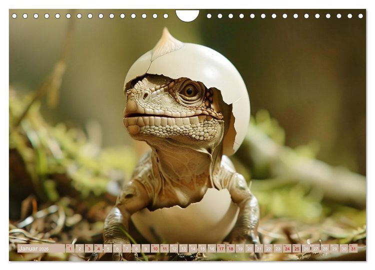 Produktbild: Dino-Babys (Wandkalender 2026 DIN A4 quer), CALVENDO Monatskalender