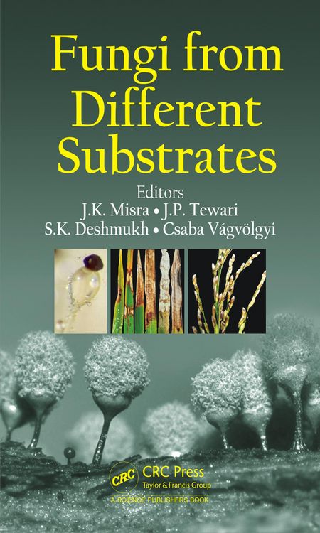 Produktbild: Fungi From Different Substrates