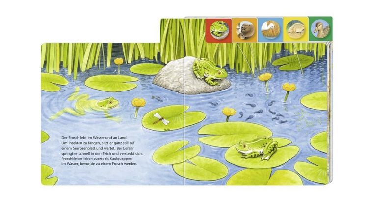Produktbild: Wer wohnt am Teich?