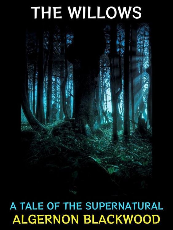 Bild vom Artikel The Willows vom Autor Algernon Blackwood