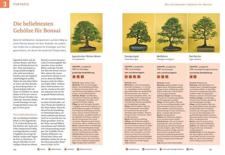 Produktbild: Bonsai ziehen, gestalten und pflegen