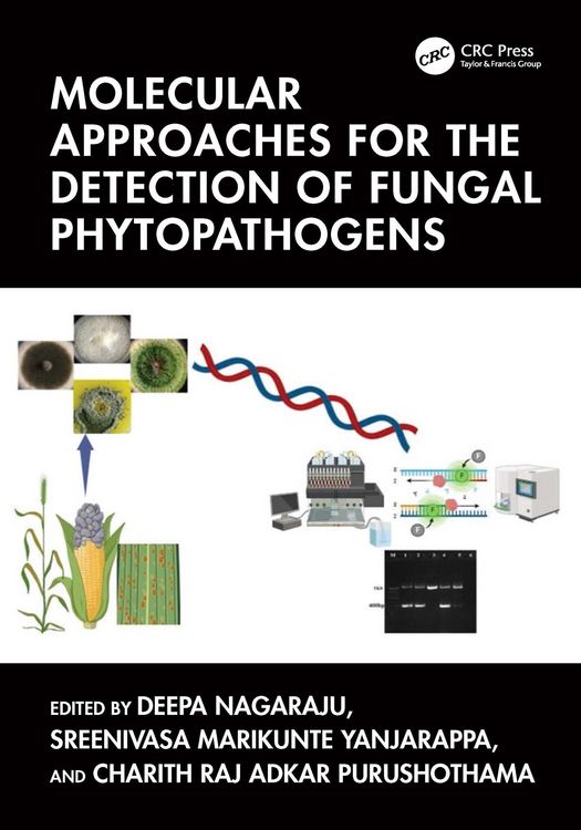 Produktbild: Molecular Approaches for the Detection of Fungal Phytopathogens
