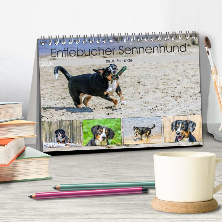 Produktbild: Entlebucher Sennenhund - treue Freunde (Tischkalender 2026 DIN A5 quer), CALVENDO Monatskalender