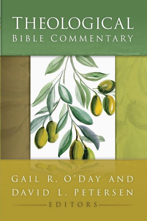 Produktbild: Theological Bible Commentary