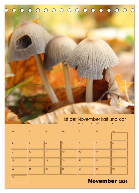 Produktbild: Wetter-Regeln der Bauern (Tischkalender 2026 DIN A5 hoch), CALVENDO Monatskalender