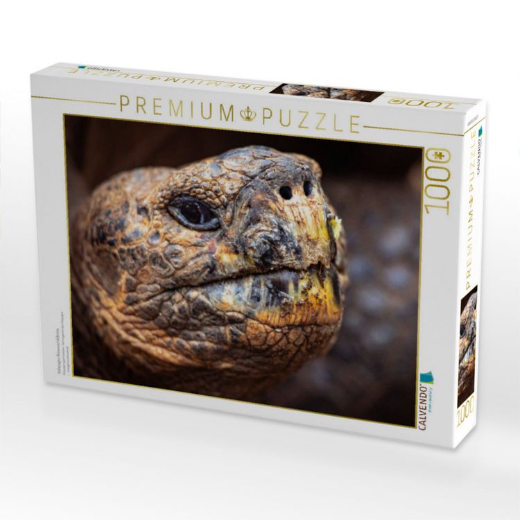 Produktbild: CALVENDO Puzzle Galapagos Riesenschildkr&ouml;te | 1000 Teile Lege-Gr&ouml;&szlig;e 64x48cm Foto-Puzzle f&uuml;r gl&uuml;ckliche Stunden