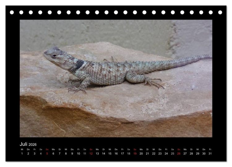 Produktbild: Faszinierende Reptilien (Tischkalender 2026 DIN A5 quer), CALVENDO Monatskalender