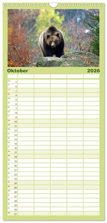 Produktbild: Familienplaner 2026 - Begegnungen DER BRAUNB&Auml;R mit 5 Spalten (Wandkalender, 21 x 45 cm) CALVENDO