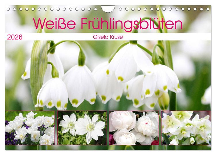 Produktbild: Wei&szlig;e Fr&uuml;hlingsbl&uuml;ten (Wandkalender 2026 DIN A4 quer), CALVENDO Monatskalender