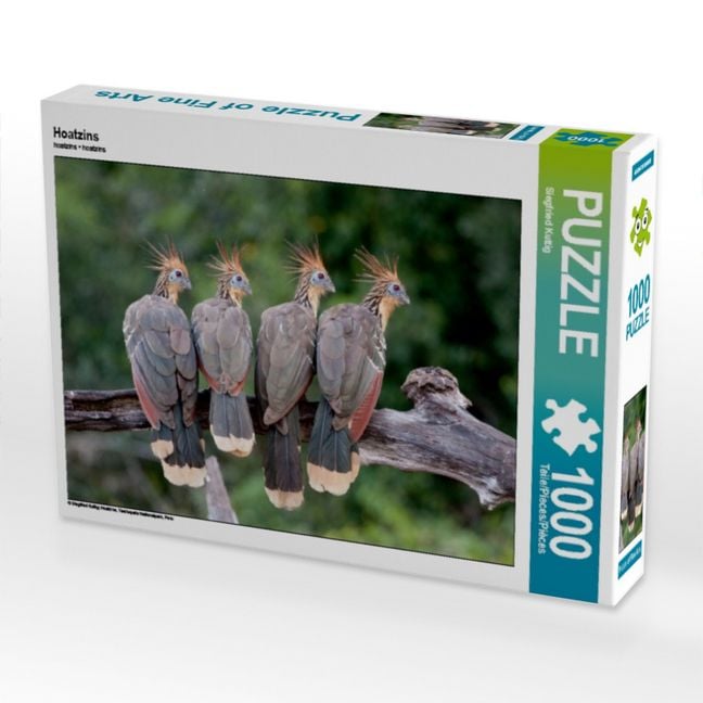 Produktbild: CALVENDO Puzzle Hoatzins | 1000 Teile Lege-Gr&ouml;&szlig;e 64x48cm Foto-Puzzle f&uuml;r gl&uuml;ckliche Stunden