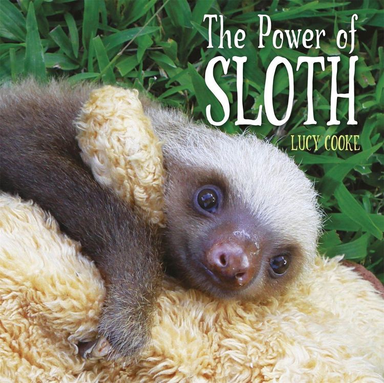 Produktbild: The Power of Sloth