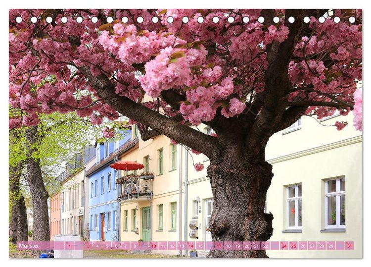 Produktbild: Werder (Havel) - Die Altstadtinsel (Tischkalender 2026 DIN A5 quer), CALVENDO Monatskalender