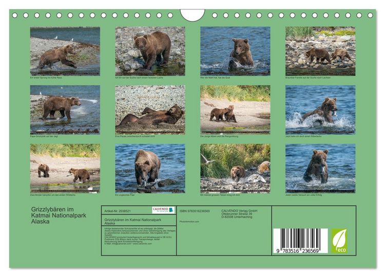Produktbild: Grizzlyb&auml;ren im Katmai Nationalpark Alaska (Wandkalender 2026 DIN A4 quer), CALVENDO Monatskalender