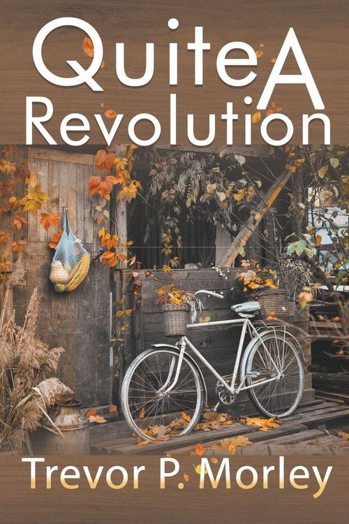 Produktbild: Quite A Revolution