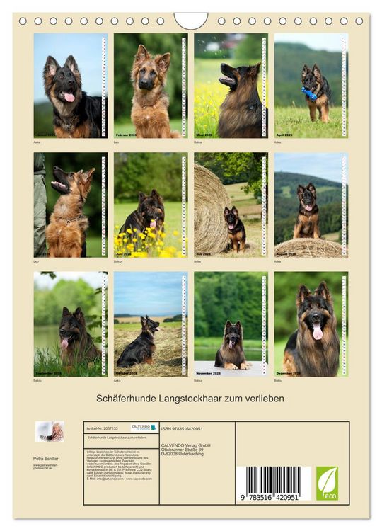 Produktbild: Sch&auml;ferhunde Langstockhaar zum verlieben (Wandkalender 2026 DIN A4 hoch), CALVENDO Monatskalender