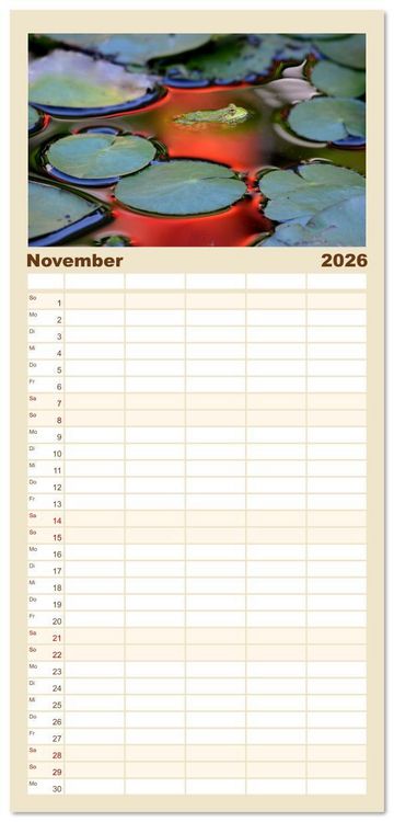 Produktbild: Familienplaner 2026 - Frosch Karl, Hans und Max im Einklang der Natur mit 5 Spalten (Wandkalender, 21 x 45 cm) CALVENDO