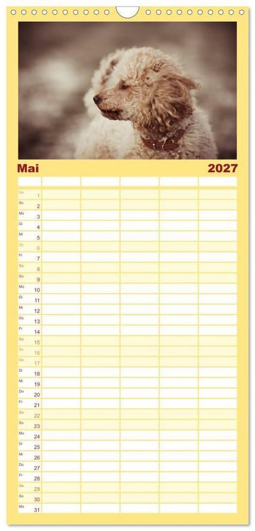 Produktbild: Familienplaner 2027 - Lockenw&ouml;lfe - Energieb&uuml;ndel Pudel mit 5 Spalten (Wandkalender, 21 x 45 cm) CALVENDO