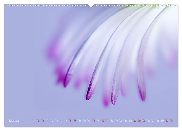 Produktbild: DEEP INSIDE - Bl&uuml;tenmakros (hochwertiger Premium Wandkalender 2026 DIN A2 quer), Kunstdruck in Hochglanz