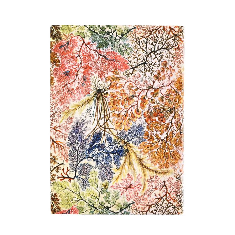 Produktbild: Softcover Notizbuch, Anemone, Midi, Liniert