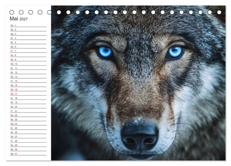Produktbild: Die Seele der Wildnis (Tischkalender 2027 DIN A5 quer), CALVENDO Monatskalender