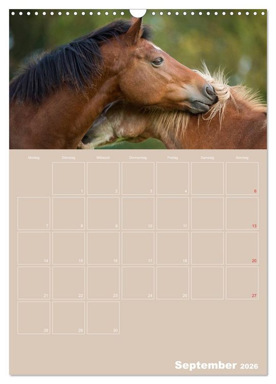 Produktbild: Pferde / Planer (Wandkalender 2026 DIN A3 hoch), CALVENDO Monatskalender
