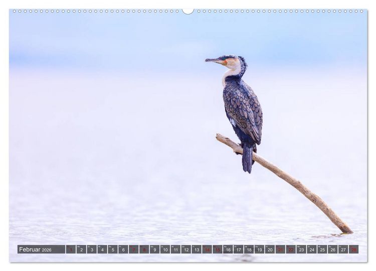 Produktbild: Auf Safari in Kenia 2026 (Wandkalender 2026 DIN A2 quer), CALVENDO Monatskalender