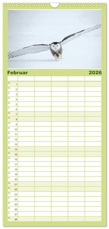 Produktbild: Familienplaner 2026 - Eulen - Wachsame und geheimnisvolle Augen mit 5 Spalten (Wandkalender, 21 x 45 cm) CALVENDO