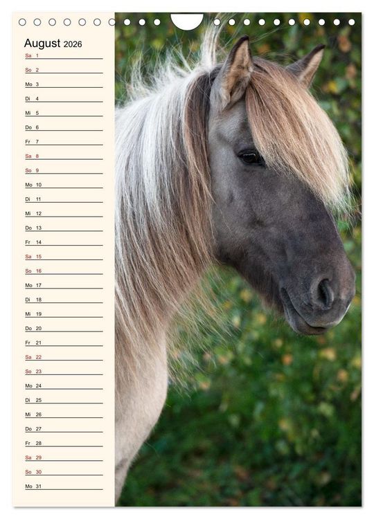 Produktbild: Isl&auml;nder Geburtstagskalender (Wandkalender 2026 DIN A4 hoch), CALVENDO Monatskalender