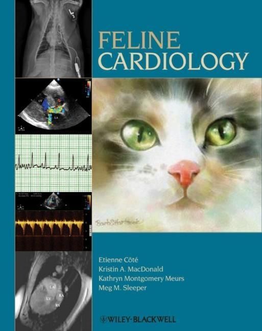 Produktbild: Feline Cardiology
