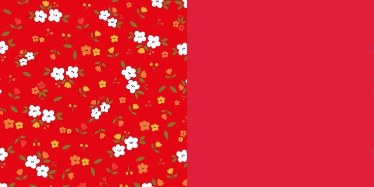 Produktbild: Easy Origami Flowers
