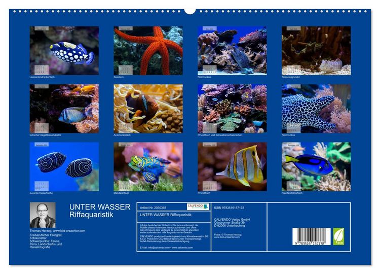Produktbild: UNTER WASSER Riffaquaristik (hochwertiger Premium Wandkalender 2026 DIN A2 quer), Kunstdruck in Hochglanz