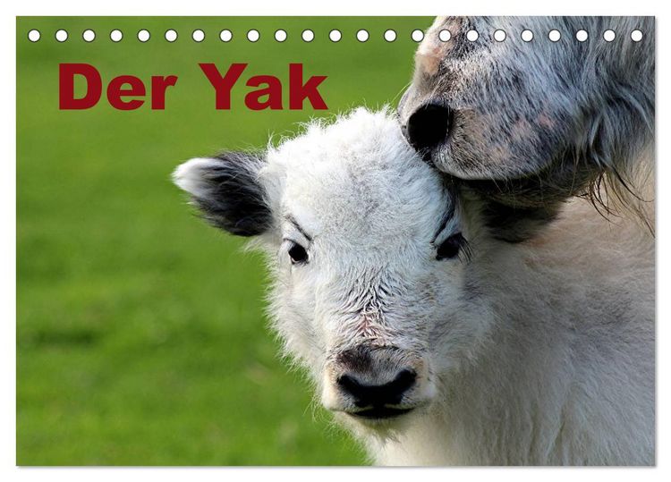 Produktbild: Der Yak (Tischkalender 2026 DIN A5 quer), CALVENDO Monatskalender
