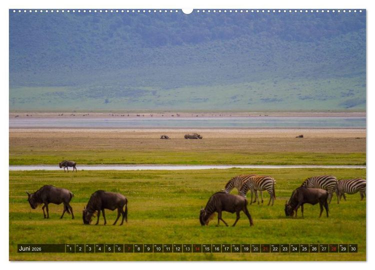 Produktbild: Abenteuer Tansania, Afrika (Wandkalender 2026 DIN A2 quer), CALVENDO Monatskalender