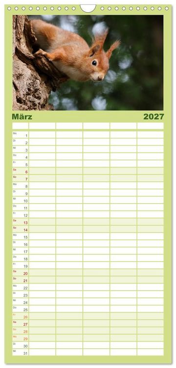 Produktbild: Familienplaner 2027 - Eichh&ouml;rnchen Momentaufnahmen f&uuml;rs Herz mit 5 Spalten (Wandkalender, 21 x 45 cm) CALVENDO