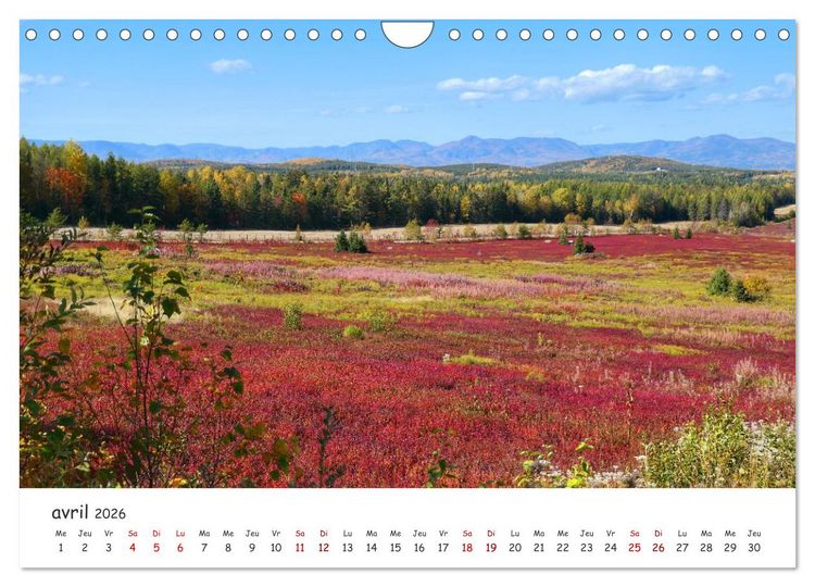 Produktbild: Automne haut en couleurs (Calendrier mural 2026 DIN A4 vertical), CALVENDO calendrier mensuel