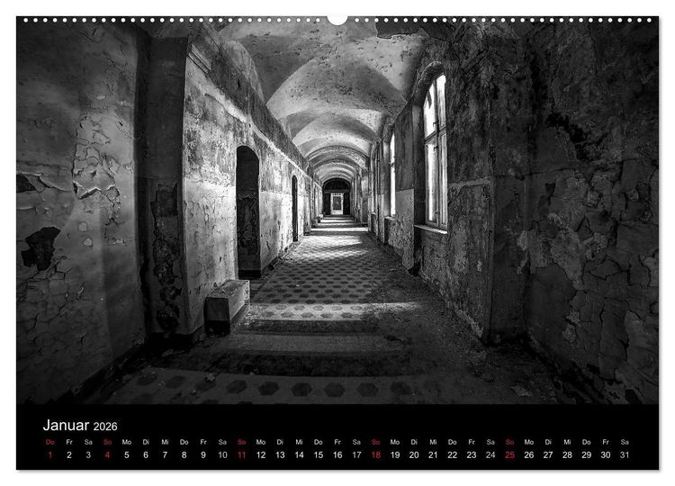 Produktbild: lost beauty (Wandkalender 2026 DIN A2 quer), CALVENDO Monatskalender