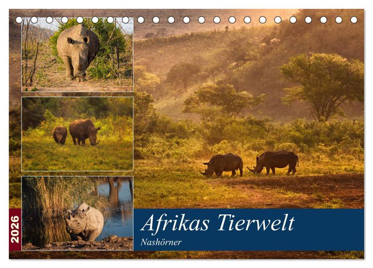 Produktbild: Afrikas Tierwelt: Nash&ouml;rner (Tischkalender 2026 DIN A5 quer), CALVENDO Monatskalender