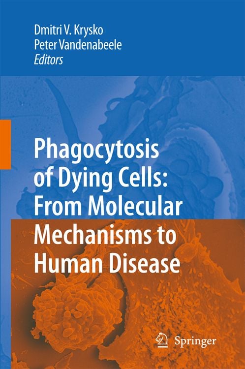 Produktbild: Phagocytosis of Dying Cells