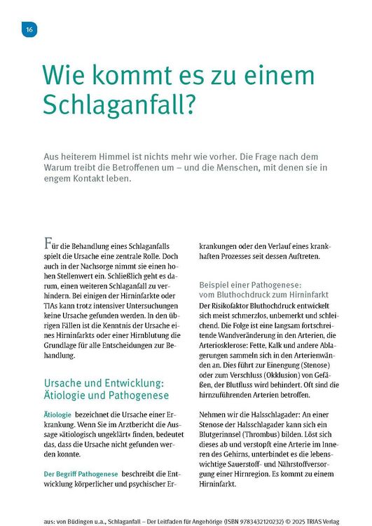 Produktbild: Schlaganfall - Der Leitfaden f&uuml;r Angeh&ouml;rige