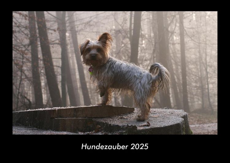 Produktbild: Hundezauber 2025 Fotokalender DIN A3