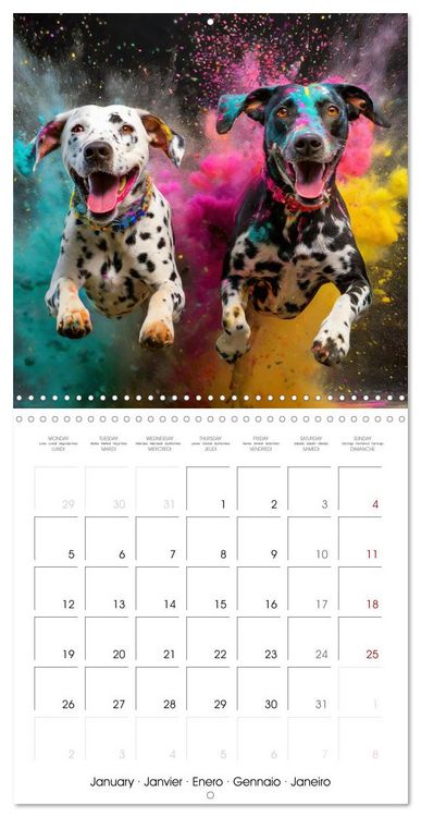 Produktbild: Dynamic Duo - Two Paws, One Leap (Wall Calendar 2026 12 &times; 12 Inch) CALVENDO 12 Month Wall Calendar