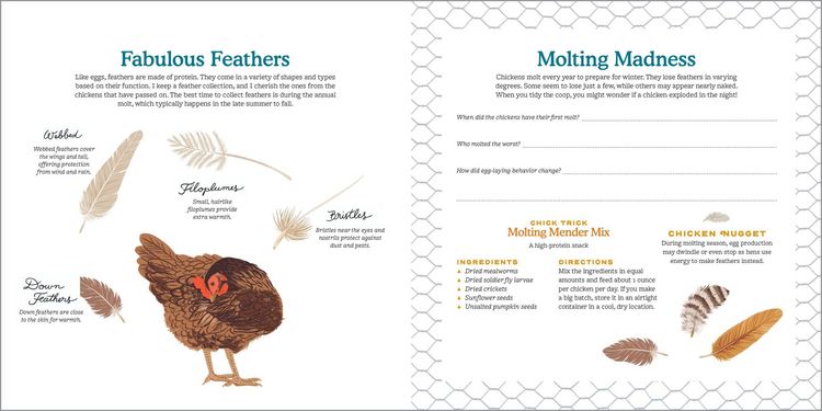 Produktbild: My Chicken Family