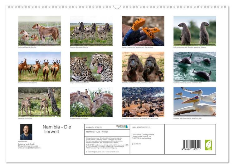 Produktbild: Namibia - Die Tierwelt (hochwertiger Premium Wandkalender 2026 DIN A2 quer), Kunstdruck in Hochglanz