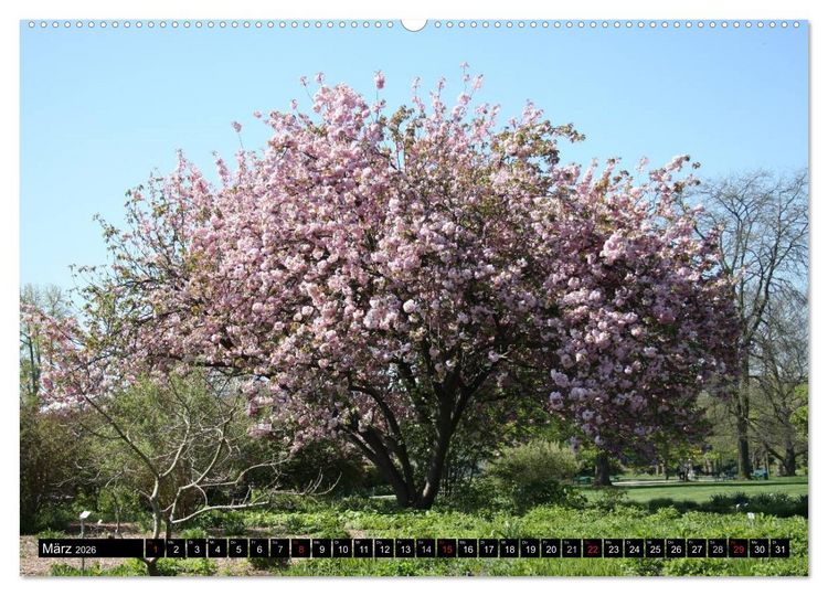 Produktbild: Hannovers prachtvolle G&auml;rten (hochwertiger Premium Wandkalender 2026 DIN A2 quer), Kunstdruck in Hochglanz