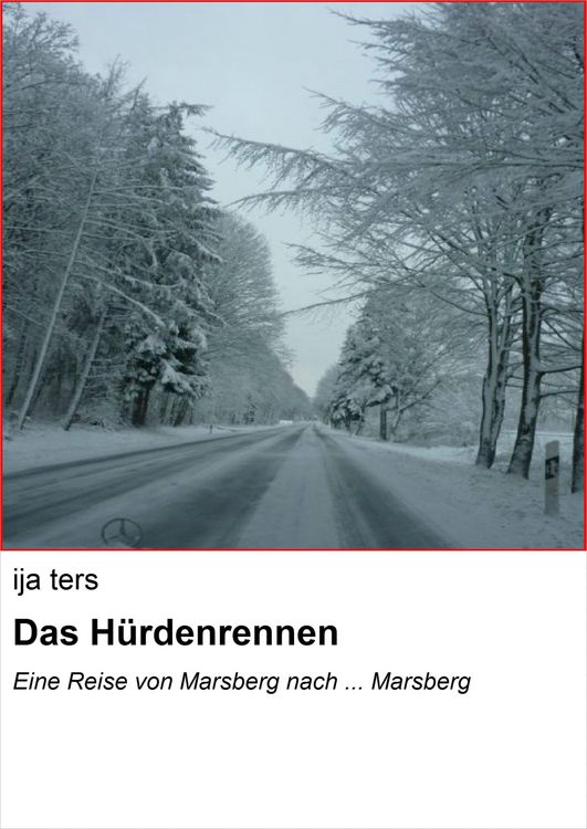 Produktbild: Das H&uuml;rdenrennen