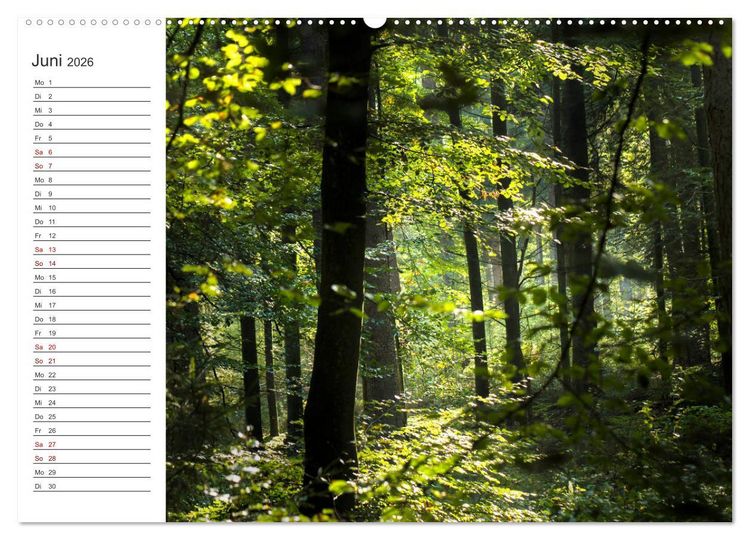 Produktbild: Worpswede - Natursch&ouml;nheiten im Teufelsmoor (Wandkalender 2026 DIN A2 quer), CALVENDO Monatskalender
