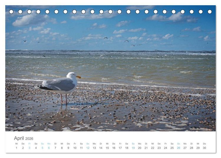Produktbild: Juist - mein T&ouml;werland (Tischkalender 2026 DIN A5 quer), CALVENDO Monatskalender